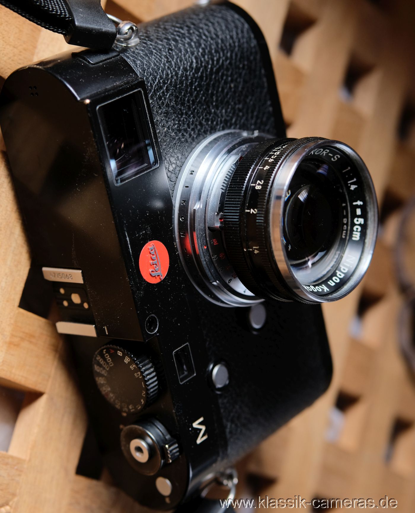 Leica M, Amedeo Adapter
      und Nikkor 50/1.4